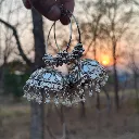 WhatsApp Image 2026-03-12 at 7.28.46 PM.webp