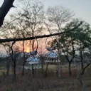 samridhi DC afghani oxidized jhumka